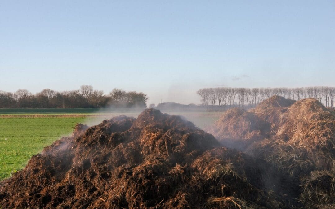 🍎 Champost: dé bodemboost voor je fruitboom in 2026