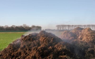 🍎 Champost: dé bodemboost voor je fruitboom in 2026